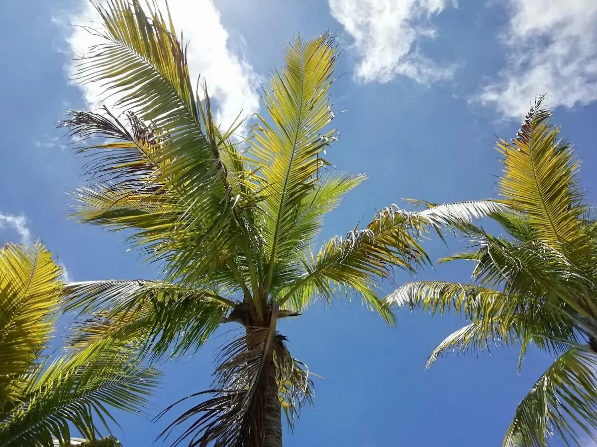 Hotel Green 16 Cancun